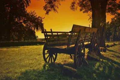 פאזל של campestre