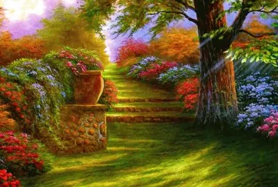 garden 4