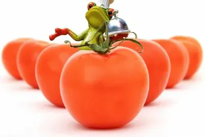 Tomates- Cocinar Rana