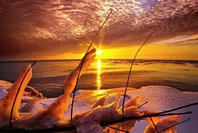 פאזל של imagens