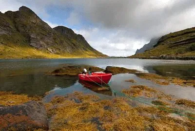 פאזל של NorvÃ¨ge