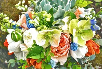 Flores maravillosas