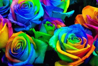 פאזל של flower 2