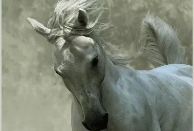 favorites jigsaw puzzle