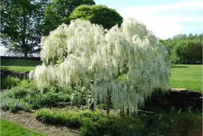 autumn-173 jigsaw puzzle