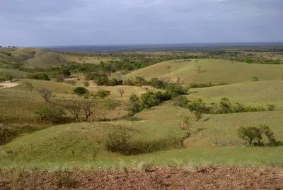 parque nacional Aguaro Guariquito (Venezuela)