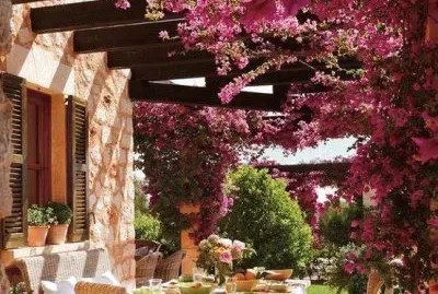 JardÃ­n