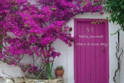 Puerta fucsia jigsaw puzzle