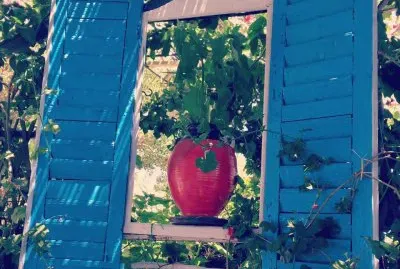 Ventana azul jigsaw puzzle