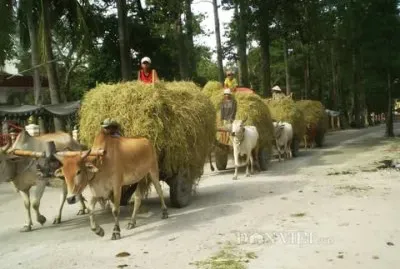 imagens jigsaw puzzle