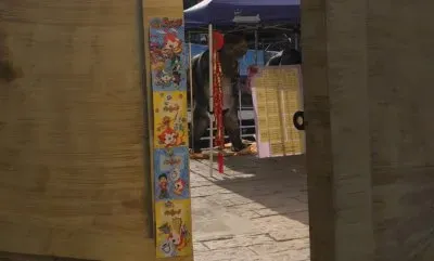 1 jigsaw puzzle