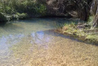 parque nacional Aguaro Guariquito (Venezuela)