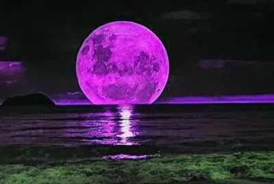 Blackberry Full Moon Over Columbia River-Oregon