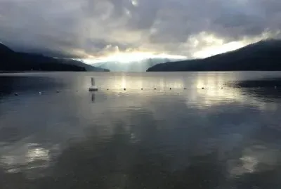 Early Morning in Harold Park, British Columbia, Ca