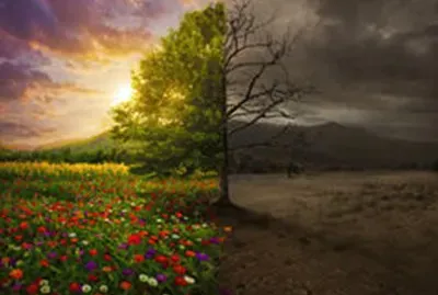 life-death jigsaw puzzle