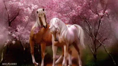 פאזל של imagens