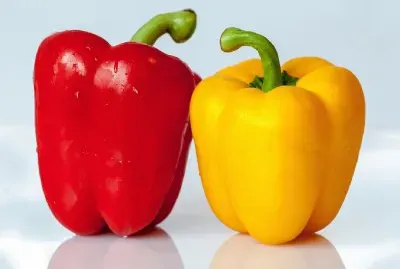 Paprika- Hortalizas,Alimentos