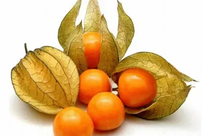 ALKEKENGI jigsaw puzzle