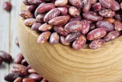 BORLOTTI