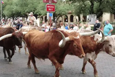 Ft Worth StockYards jigsaw puzzle