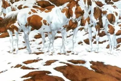 Favorite jigsaw puzzle