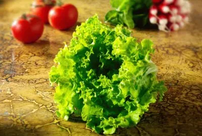 insalata jigsaw puzzle