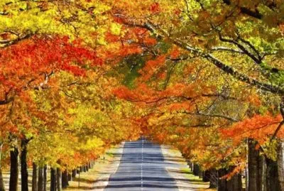 imagens jigsaw puzzle