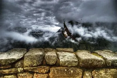 EAGLE FLY