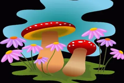 Hongos- Bosque-Naturaleza.