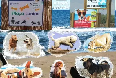 TORRE DEL MAR (MÃLAGA) - PLAYA CANINA jigsaw puzzle