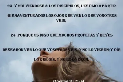 Dicha celestial