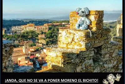 ANDA, QUE NO SE VA A PONER MORENO EL BICHITO