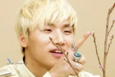 Daesung jigsaw puzzle