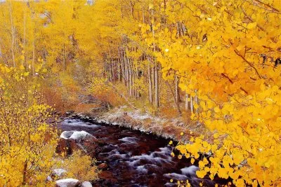 33 jigsaw puzzle