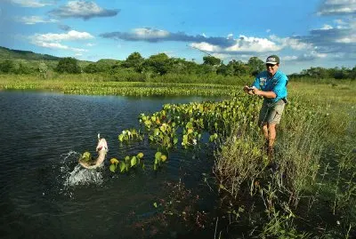 Pesca de TraÃ­ra em aÃ§ude