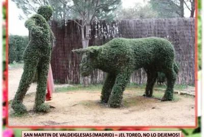 SAN MARTIN DE VALDEIGLESIAS (MADRID) â€“ Â¡EL TOREO!,