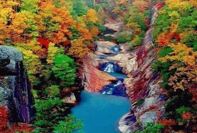 imagens jigsaw puzzle