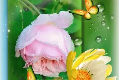 imagens jigsaw puzzle