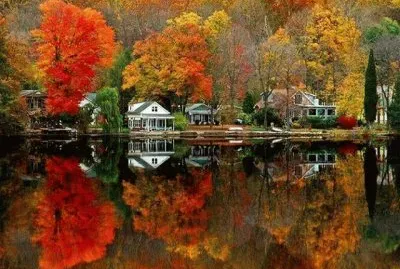 Colores de otoÃ±o jigsaw puzzle