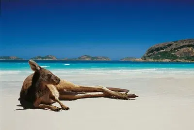 playa jigsaw puzzle