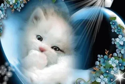 imagem jigsaw puzzle