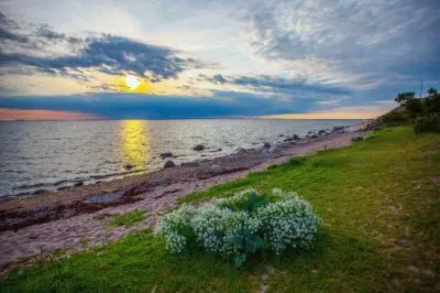 NATUREZA jigsaw puzzle