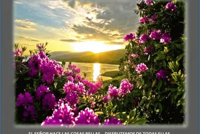 EL SEÃ‘OR HACE LAS COSAS BELLASâ€¦ DISFRUTEMOS DE TOD jigsaw puzzle