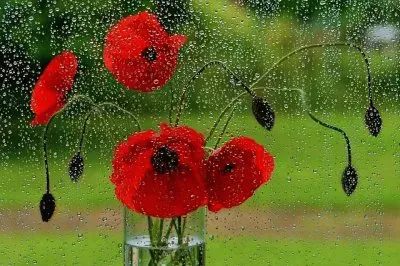 imagem jigsaw puzzle