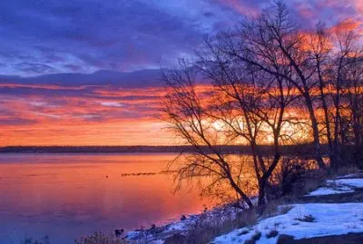 NATUREZA jigsaw puzzle