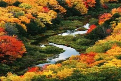 imagem jigsaw puzzle