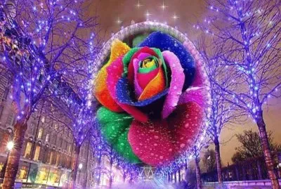 פאזל של imagem