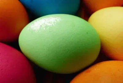 Huevos-Colorido.