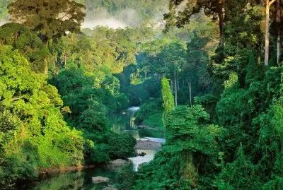 foret