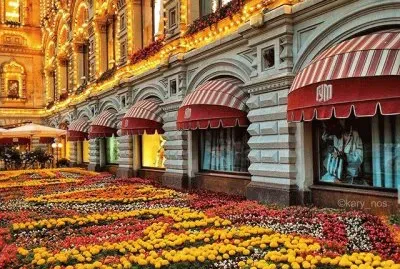 Festival de flores-MoscÃº
